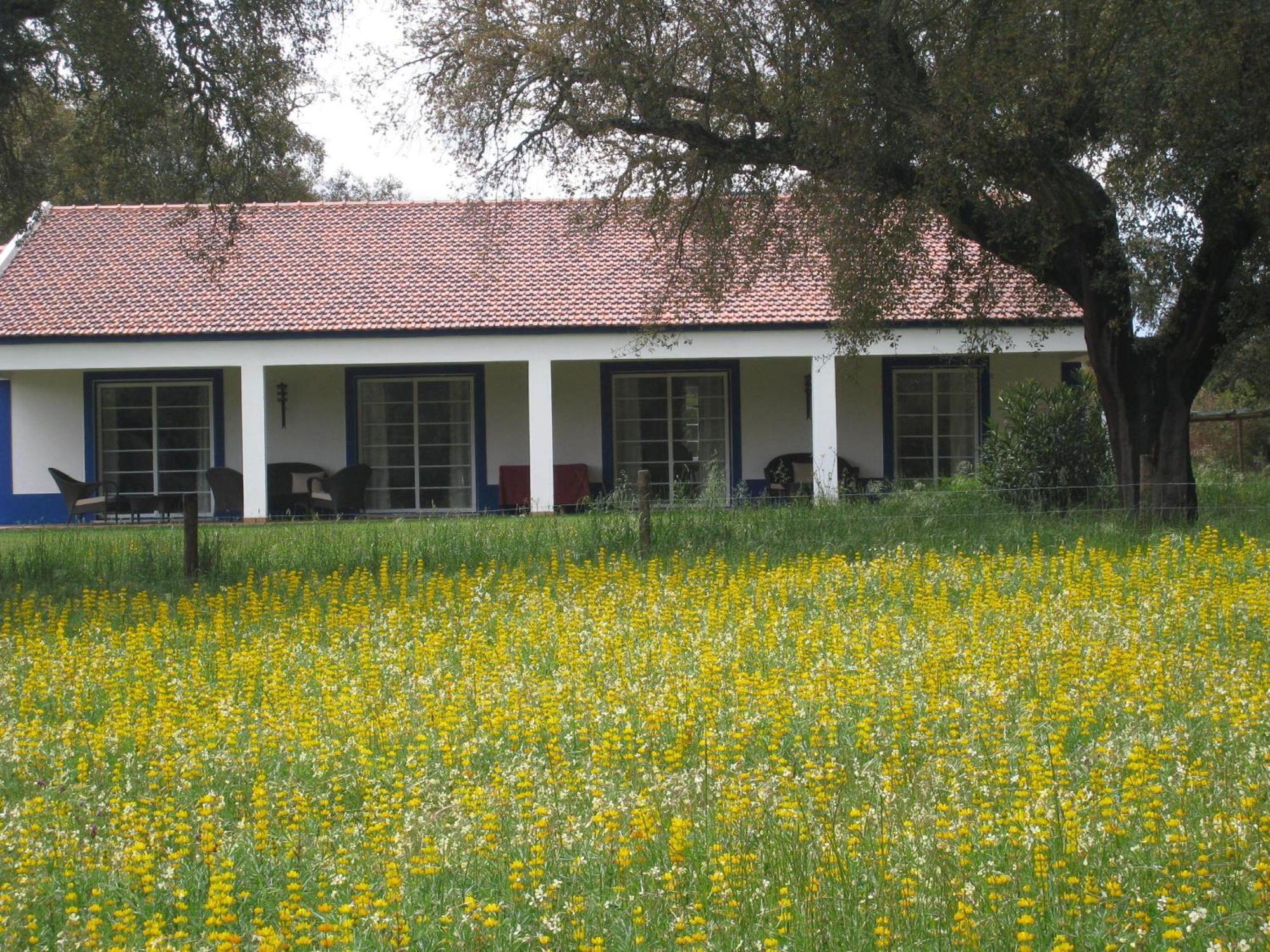 Monte Das Faias Cork Farm Hotel Grândola エクステリア 写真